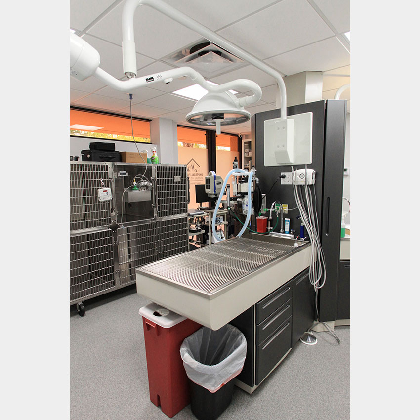 Our Surgical Suite